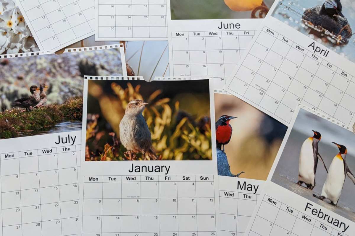 Calendars